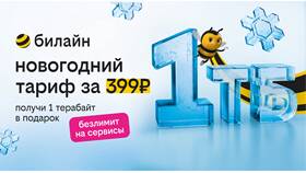 Как пополнить гигабайты на Билайне в Татнефть