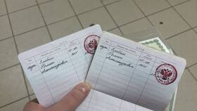 Как правильно заполнять графу 