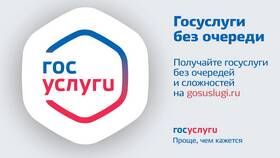 Как привязать юридическое лицо к порталу Госуслуг в Татнефть