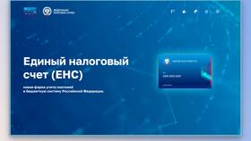 Как проверить сальдо по счету 77 в Татнефть