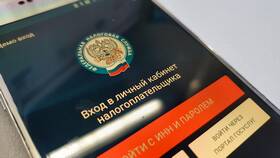Как проверить задолженность по ИНН физического лица в Татнефть