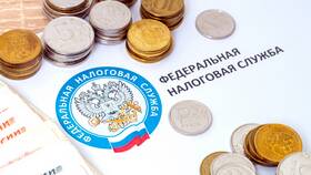 Как рассчитать НДФЛ по вкладам в Татнефть