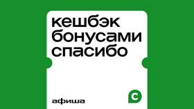 Как заработать бонусные баллы СберСпасибо в Татнефть