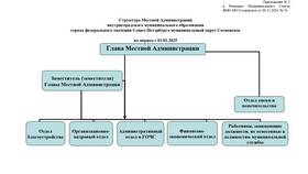 Органы местного самоуправления как юридические лица в Татнефть