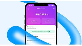 Почему не получается улучшить кошелек Wildberries в Татнефть