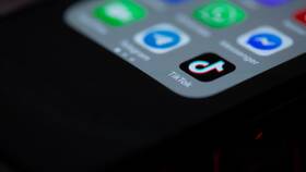 Почему TikTok не пускает в аккаунт