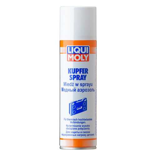 Медная смазка LIQUI MOLY Kupfer-Spray (3970) в Татнефть