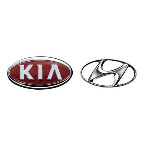 Форсунка омывателя Hyundai-KIA 986404L000 в Татнефть