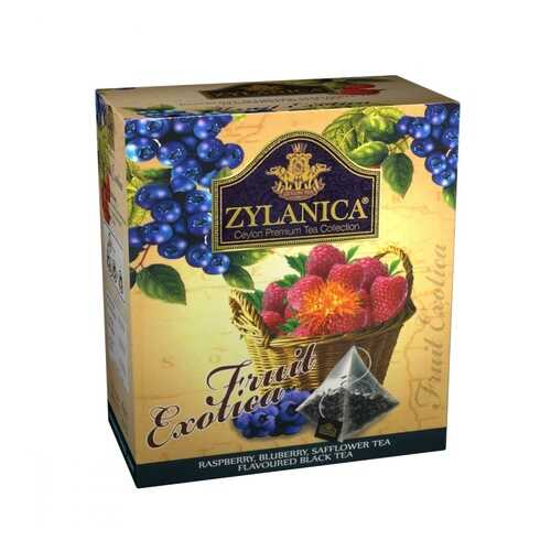 Чай Zylanica Fruit Exotica черный с малиной черникой лепестками сафлора 20 пирамидок в Татнефть