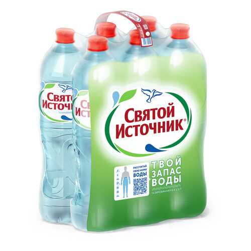 Вода питьевая Святой Источник газированная 1.5 л 6 штук в упаковке в Татнефть