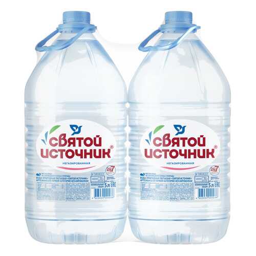 Вода питьевая Святой источник негазированная 5л/2 в Татнефть